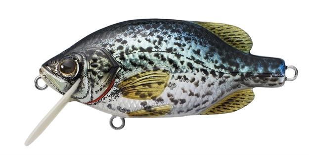 Picture of Livetarget Crappie Flat-Side Shallow Dive Crankbait, 3'-4', 2 1/4", #6 Hooks, 1/4 Oz, Metallic/Gloss, Floating