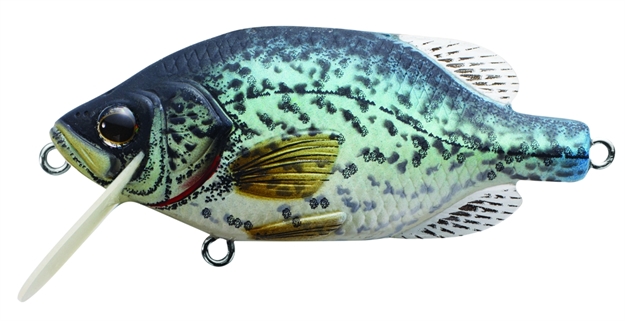 Picture of Livetarget Crappie Flat-Side Shallow Dive Crankbait, 3'-4', 2 1/4", #6 Hooks, 1/4 Oz, Natural/Matte, Floating