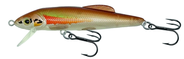 Picture of Livetarget Dace Shallow Dive Jerkbait, 2 1/2", 1/8 Oz, Natural & Ghost Rosyside, Sinking