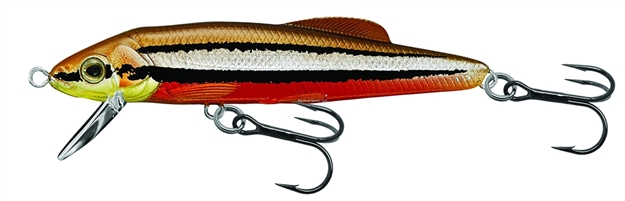 Picture of Livetarget Dace Shallow Dive Jerkbait, 3", 1/4 Oz, Natural & Chartreuse Red Belly, Sinking