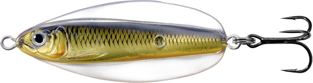 Picture of Livetarget Erratic Shiner- Casting Spoon, 2", 1/4Oz, Gold/Black