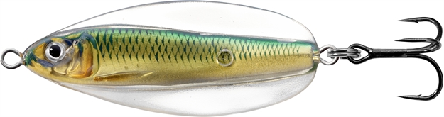 Picture of Livetarget Erratic Shiner- Casting Spoon, 2", 1/4Oz, Gold/Green