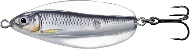 Picture of Livetarget Erratic Shiner- Casting Spoon, 2", 1/4Oz, Silver/Black