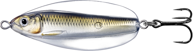 Picture of Livetarget Erratic Shiner- Casting Spoon, 2", 1/4Oz, Silver/Bronze