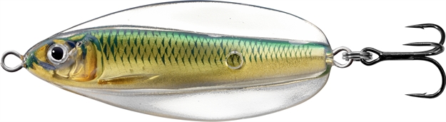 Picture of Livetarget Erratic Shiner- Casting Spoon, 2 3/4", 3/4Oz, Gold/Green