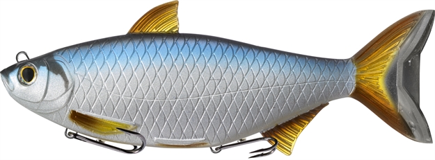 Picture of Livetarget Golden Shiner - Swimbait (Oscillator Tail),  8 In,  5 Oz,  Silver/Blue