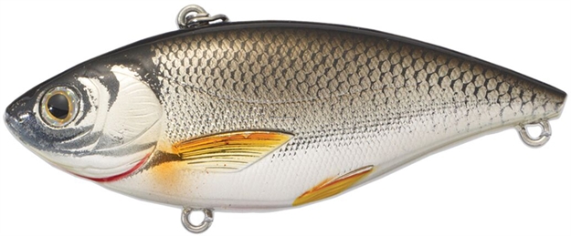 Picture of Livetarget Golden Shiner Lipless Rattlebait, 2", 1/4Oz, Silver/Black