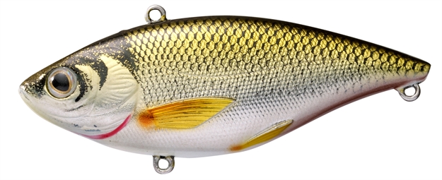 Picture of Livetarget Golden Shiner Lipless Rattlebait, 2 3/8", #8 Hook, 1/4 Oz, Gold/Black, Sinking