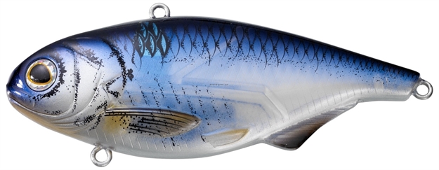 Picture of Livetarget Golden Shiner Lipless Rattlebait, 2 3/8", #8 Hook, 1/4 Oz, Silver/Black, Sinking