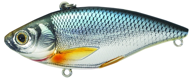 Picture of Livetarget Golden Shiner Lipless Rattlebait, 2 3/8", #8 Hook, 1/4 Oz, Silver/Blue, Sinking