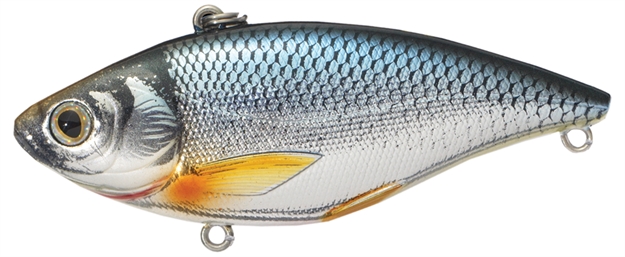 Picture of Livetarget Golden Shiner Lipless Rattlebait, 2 7/8", #6 Hook, 1/2 Oz, Silver/Blue, Sinking