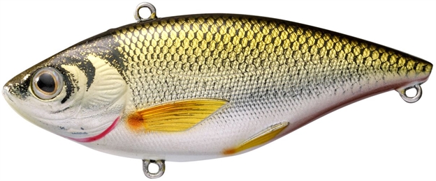 Picture of Livetarget Golden Shiner Lipless Rattlebait, 2", 1/4Oz, Gold/Black