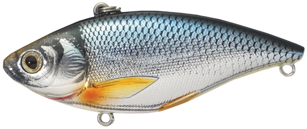Picture of Livetarget Golden Shiner Lipless Rattlebait, 2", 1/4Oz, Silver/Blue