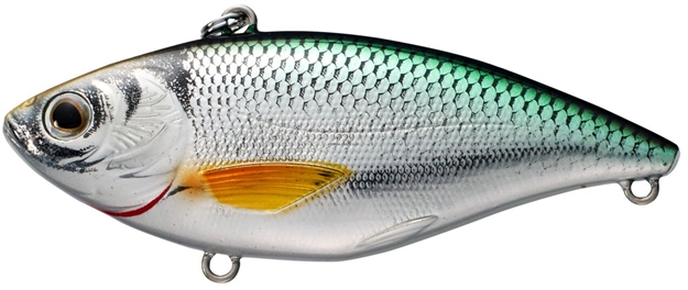 Picture of Livetarget Golden Shiner Lipless Rattlebait, 2", 1/4Oz, Silver/Green