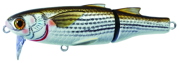 Picture of Livetarget Mullet Wakebait, 3 1/2", 5/8 Oz, #4 Hooks, Natural & Matte, Floating