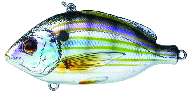 Picture of Livetarget Pinfish Rattlebait Lipless Crankbait, 2 1/2", 7/8 Oz, Natural & Metallic, Sinking