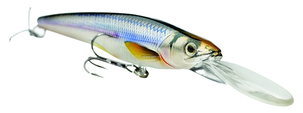 Picture of Livetarget Rainbow Smelt Shallow Dive Jerkbait, 3'-4', 3 5/8", #6 Hooks, 5/16 Oz, Silver/Blue, Suspending