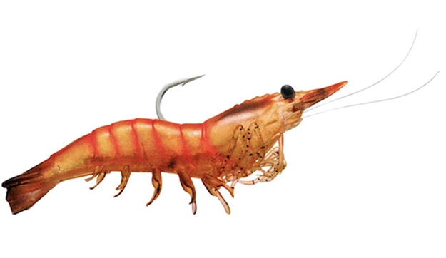 Picture of Livetarget Rigged Shrimp Soft Bait W/Rattle, 3", 1/4 Oz, Pink, Sinking, 4/Pack