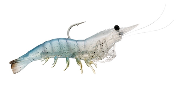 Picture of Livetarget Rigged Shrimp Soft Bait W/Rattle, 3", 1/4 Oz, White, Sinking, 4/Pack