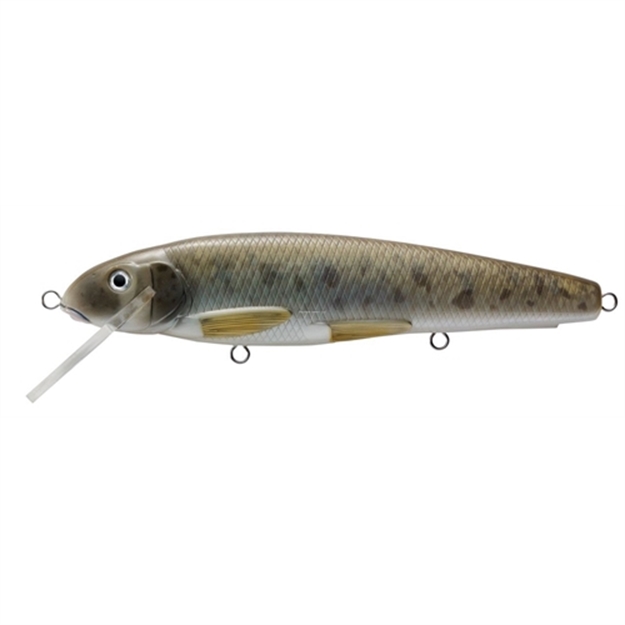 Picture of Livetarget Sucker Shallow Dive Stickbait, 3'-5', 8 1/4", 3/0 Hooks, 3 Oz, White Natural/Smoke, Floating