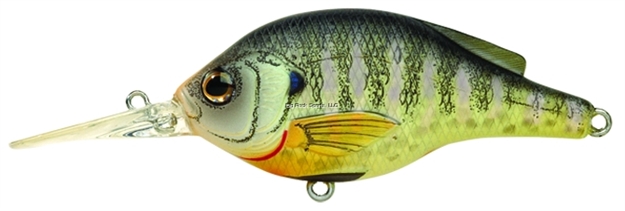 Picture of Livetarget Sunfish Bluegill Medium Dive Flat-Side Crankbait, 5'-6', 2 3/4", #4 Hooks, 1/2 Oz, Natural/Matte, Floating