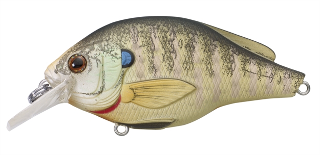 Picture of Livetarget Sunfish Bluegill Shallow Dive Flat-Side Squarebill Crankbait, 3'-4', 2 3/4", #4 Hooks, 1/2 Oz, Natural/Matte, Floating
