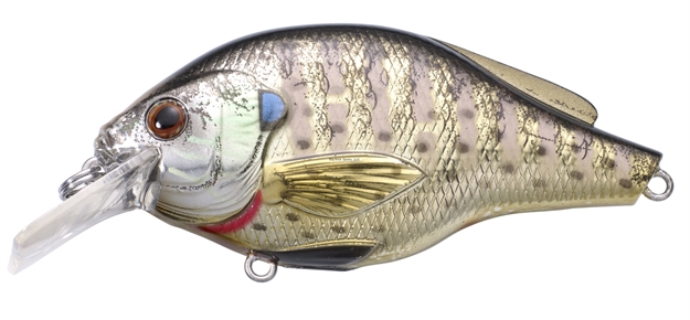 Picture of Livetarget Sunfish Bluegill Shallow Dive Flat-Side Squarebill Crankbait, 3'-4', 2 3/8", #6 Hooks, 1/4 Oz, Metallic/Gloss, Floating