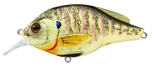 Picture of Livetarget Sunfish Bluegill Shallow Dive Flat-Side Squarebill Crankbait, 3'-4', 2 3/8", #6 Hooks, 1/4 Oz, Natural/Matte, Floating
