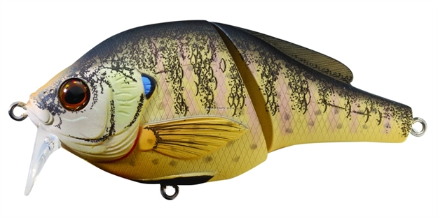 Picture of Livetarget Sunfish Bluegill Wakebait, 0-1', 3 3/4", #2 Hooks, 1 Oz, Natural/Matte, Floating