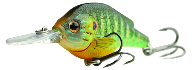 Picture of Livetarget Sunfish Pumpkinseed Shallow Dive Flat-Side Crankbait, 3'-4', 2 1/4", #6 Hooks, 1/4 Oz, Natural/Matte, Floating