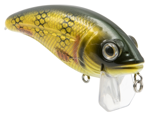 Picture of Livingston Lures Bull Nose Fw, Natural Perch, 2.76 In, 0.5679114 Oz, Shallow Diver, Ebs? Sound Technology, #4