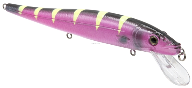 Picture of Livingston Lures Ebs Walleye 136, Purple Tiger , 5.4 In, 0.71 Oz, Shallow Diver, Ebs? Sound Technology, #4