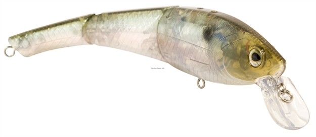 Picture of Livingston Lures Head Hunter 8", Ghost Gizzard Shad, 8.7 In, 3 Oz, Medium Diver, Ebs? Sound Technology, #4