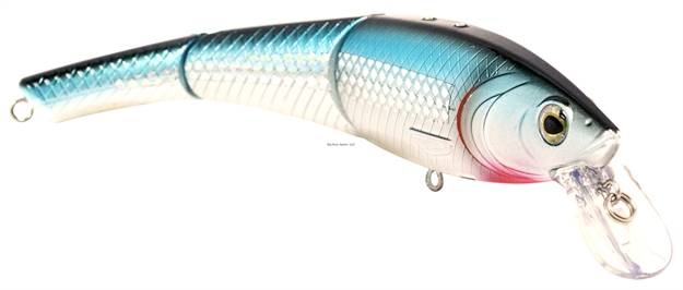 Picture of Livingston Lures Head Hunter 8", Holographic Silver Shiner, 8.7 In, 3 Oz, Medium Diver, Ebs? Sound Technology, #4