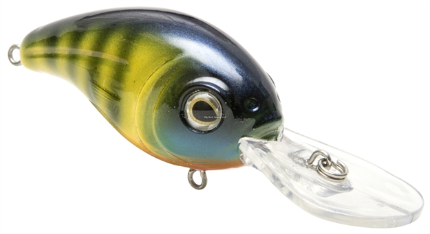 Picture of Livingston Lures Pro Series Dive Master JR 8 Crankbait, River Bream Gill, 2.28", 0.5 Oz, TO 10', #4 Hooks