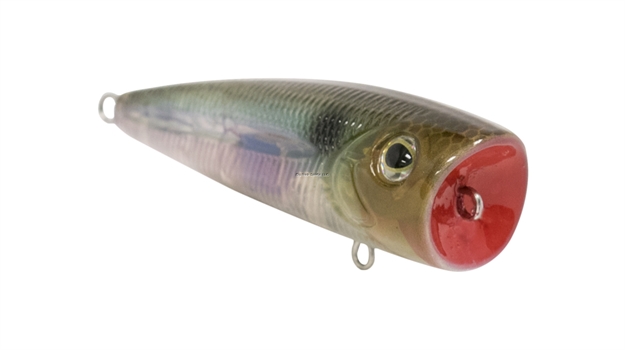 Picture of Livingston Lures Team Livingston Walk N Pop 67-1 Topwater Popper, Ghost Gizzard Shad, 2.6", 0.4 Oz, Topwater, #1 And 2 Hks,Ebs Multitouch