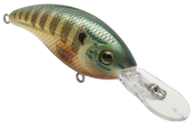 Picture of Livingston Lures Deep Impact 6 Bluegill 2.36 In, 0.4 Oz. Shallow Diver Ebs? Sound Technology, #6