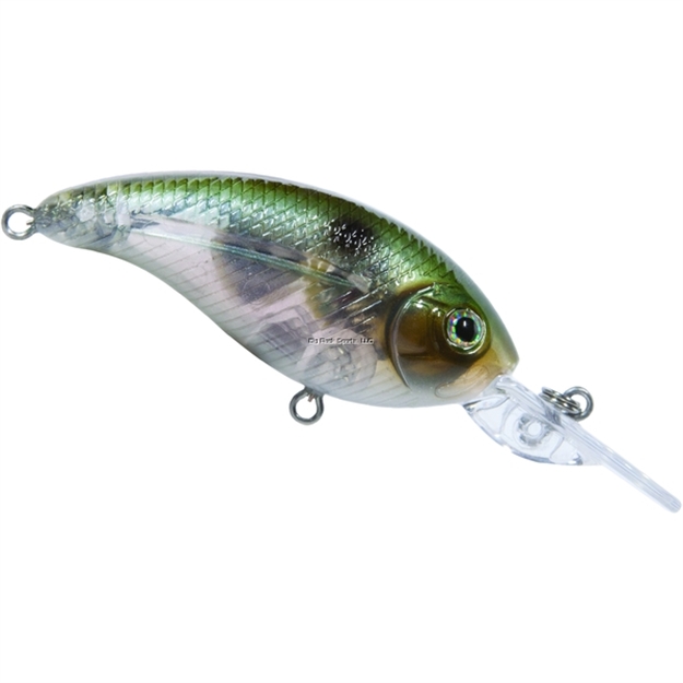 Picture of Livingston Lures Deep Impact 6 Ghost Gizzard Shad 2.36 In, 0.4 Oz. Shallow Diver Ebs? Sound Technology, #6