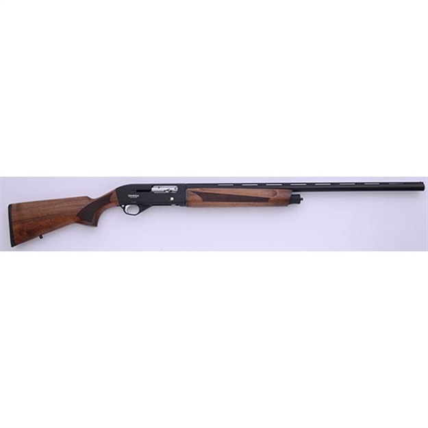 Picture of Lkci S12 12Ga 28 Semi Auto Blued Walnut