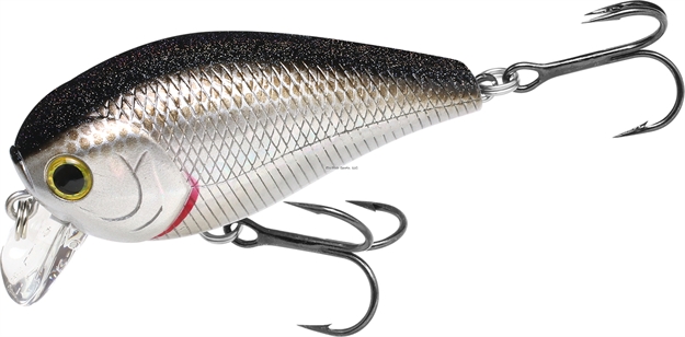 Picture of Lucky Craft 1.5Ssr BP Golden Shiner