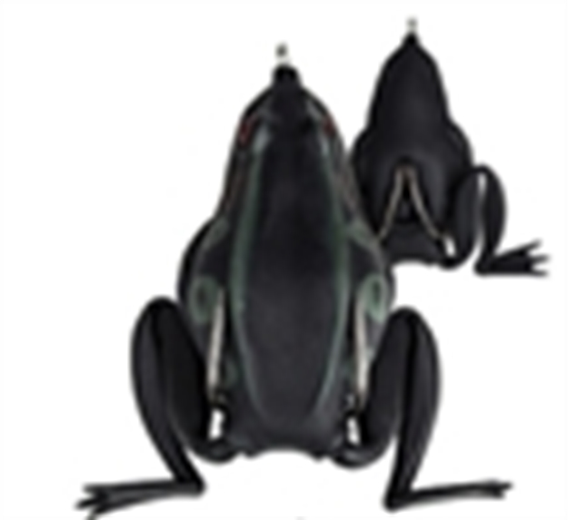 Picture of Lunkerhunt Combat Frog Hollow Body Frog, 2 1/2", 3/4 Oz, Green Tea, Floating CF08 628853550086