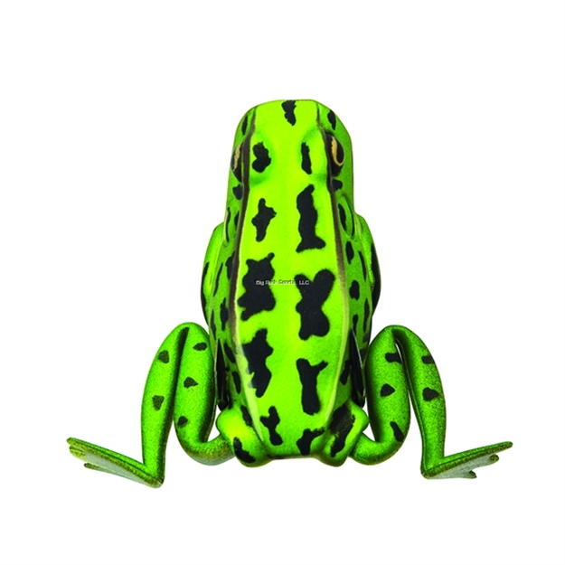Picture of Lunkerhunt Popping Frog Hollow Body Frog, 2 1/4" AT Rest/1 3/4" Extend, 1/4 Oz, Green Tea, Floating