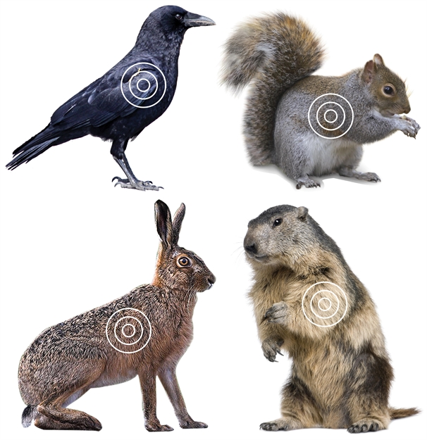 Picture of Lyman Varmint Target Roll (Color) 4320078