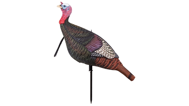 Picture of Mad Calls Shady Baby Walking Tom