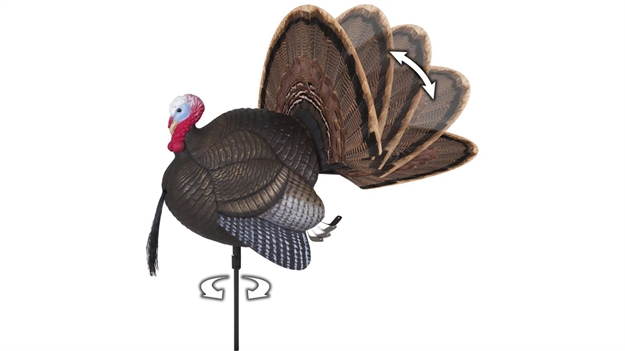 Picture of Mad Calls Spin N Strut