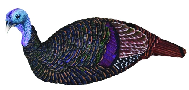 Picture of Mad Shady Baby Breeding Hen