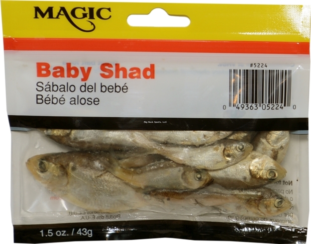 Picture of Magic Bait Preserved Shad 1-1/2Oz Bag, Natural