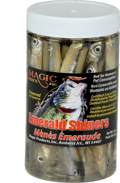 Picture of Magic Bait Preserved Shiner Minnows, 1 1/2 OZ Jar, Medium