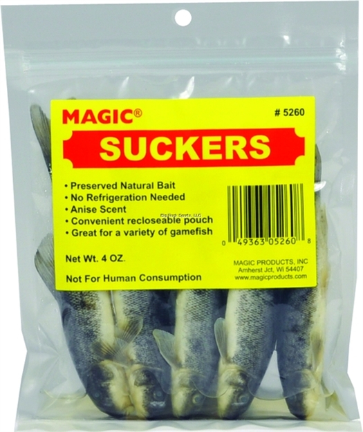 Picture of Magic Bait Preserved Suckers, 4Oz Bag, 4" TO 6"