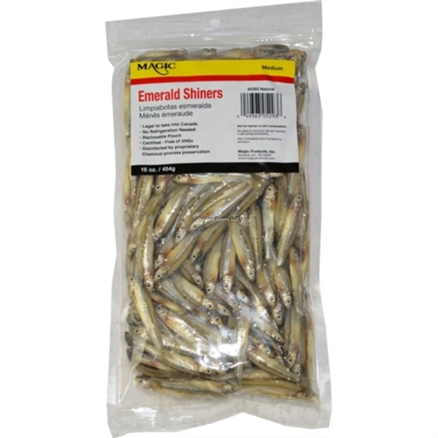 Picture of Magic Bait Preserved Shiner Minnows, Medium, 16 OZ Bag, Natural